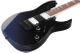 Ibanez RG421DXTWS Electric Guitar