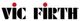 Vic Firth American Custom SD9 Driver