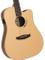 Tanglewood TM5CE Metro Dreadnought Gtar