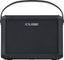 Cube Street Mini Battery Stereo Amp