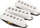Fender Custom Shop Fat 50s Pick Up