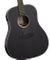 Tanglewood TB5SE Dreadnought Guitar