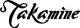 Takamine TP3G Mini TravellerAc/El Guitar