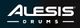 Alesis Nitro 70w Drum Amp