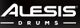 Alesis Nitro Pro 8in Floor Monitor