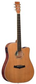 Tanglewood PRO5 Winterleaf Ac/El Guitar