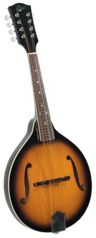 Rover RM50E Ac/El Mandolin