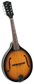 Rover RM50E Ac/El Mandolin