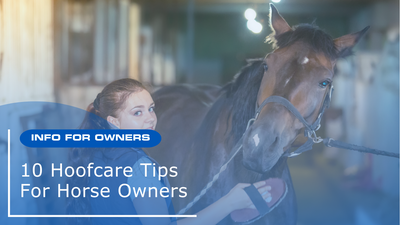 Hoofcare Tips For Horse Owners – Our Top Ten Tips For A Happy, Healthy Horse