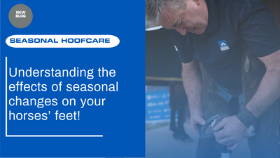 Understanding the effects of seasonal changes on your horses&rsquo; feet!