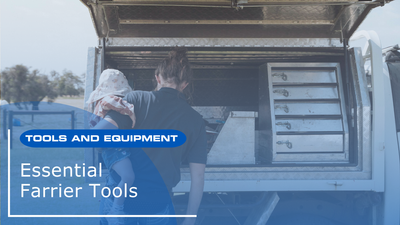 Essential Farrier Tools