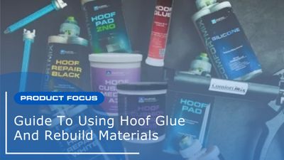 Guide To Using Hoof Glue and Rebuild Materials