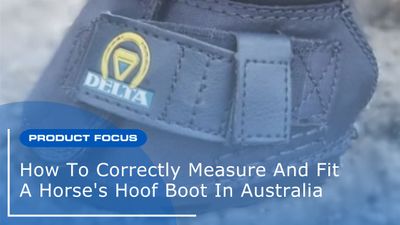 How to Correctly Measure & Fit a Horse's Hoof Boot in Australia