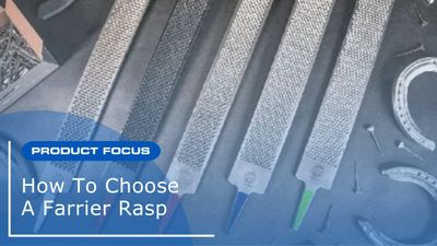 How to Choose a Farrier Rasp