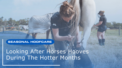 Looking After Horses Hooves During The Hotter Months
