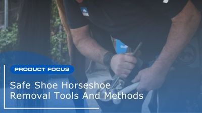 Safe Shoe Horseshoe Removal Tools & Methods