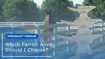 Which Farrier Anvil Should I Choose?