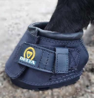 How to Correctly Measure & Fit a Horse's Hoof Boot in Australia