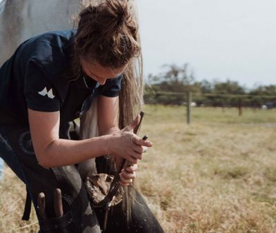 The Impact of Climate on Hoof Moisture content