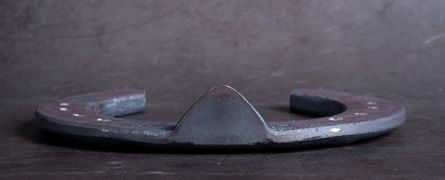 Steel horseshoe with toe clip