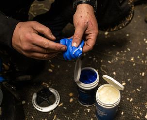 Dental Impression Material for horses