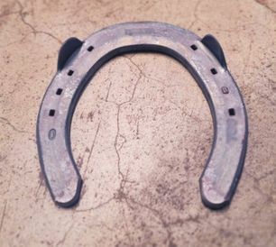 Steel horseshoe with Quarter-clips