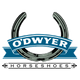 O'Dwyer Steel Horseshoes