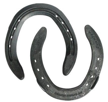 St Croix Eventer Steel Hind