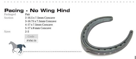 O'Dwyer Horseshoes Pacing No Wing Hind