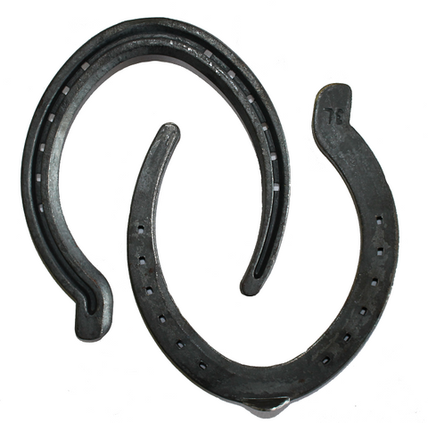 O'Dwyer Horseshoes Pacing Hind