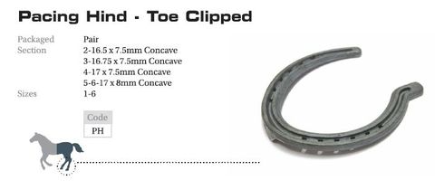 O'Dwyer Horseshoes Pacing Hind