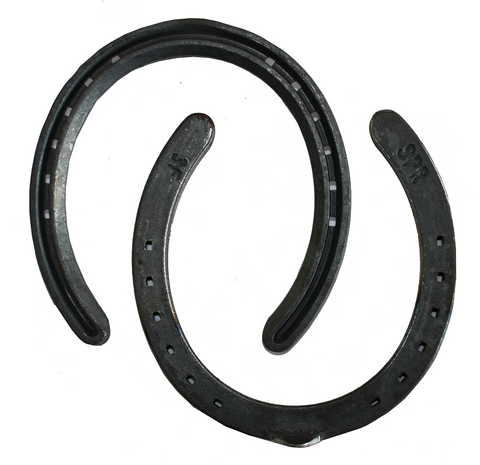 O'Dwyer Horseshoes Sprinter Front