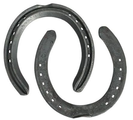 O'Dwyer Horseshoes Performa Front