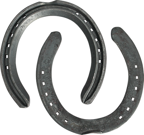 O'Dwyer Horseshoes Performa Front