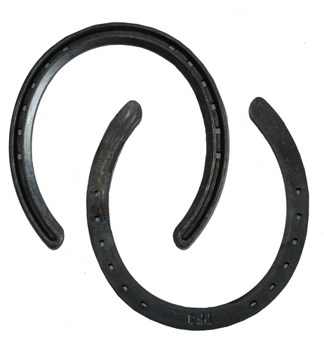 O'Dwyer Horseshoes Pacing Front