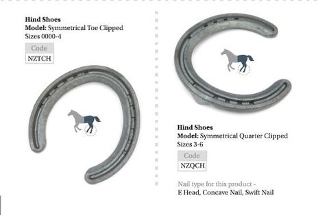 New Zealand Concave Hind
