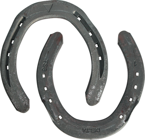 Delta Challenger Hind