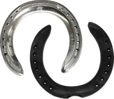 Apple Race Plate Bonded Front