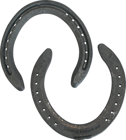 St Croix Concorde Steel Hind