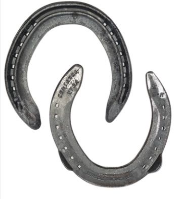 St Croix Concorde Xtra Steel Hind