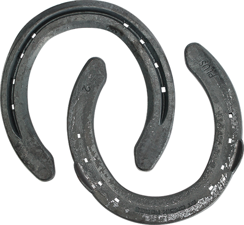 St Croix Eventer Plus Steel Front