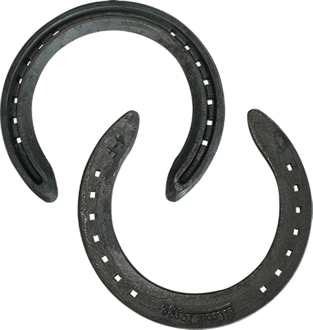 ST CROIX CONCORDE YEARLING FRONT