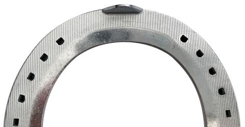 APPLE ASCOT ALUMINIUM RACE PLATE FRONT