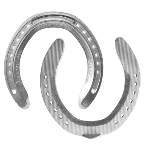 APPLE ASCOT ALUMINIUM RACE PLATE SYM HIND