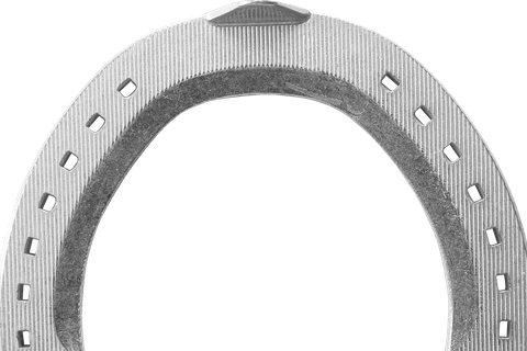 APPLE ASCOT ALUMINIUM RACE PLATE SYM HIND