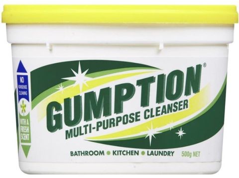 Paste Cleaner Gumption 500g