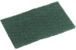 Scourer SC100 Green Sm 10x15cm