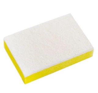 Sponge/Scourer NonScratch Each