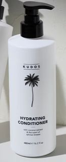 Kudos Coastal 480mL Conditione