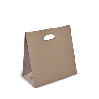 Carry Bag D-Cut 280x280 Pk/50